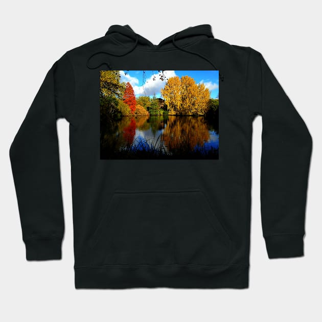 Autumn in Battersea Park Hoodie by Ludwig Wagner